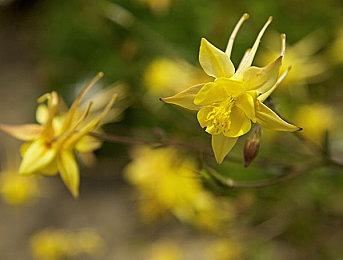 《WWE 2K22》官方公布预告片 确认3月11日推出